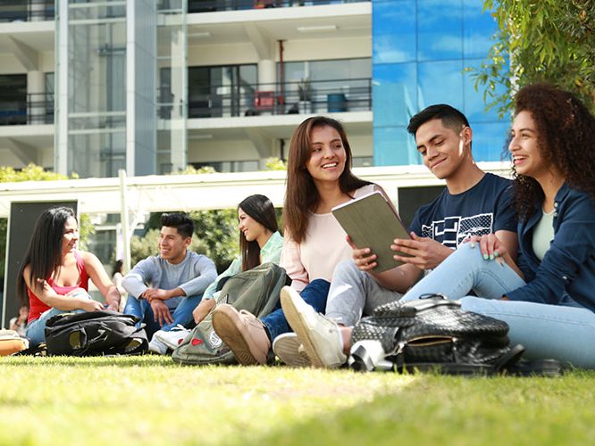 semana-de-la-innovacion