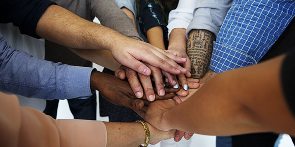 semilla intercultural uc