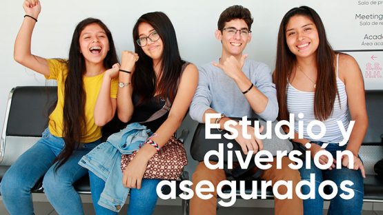 Estudio y diversión asegurados