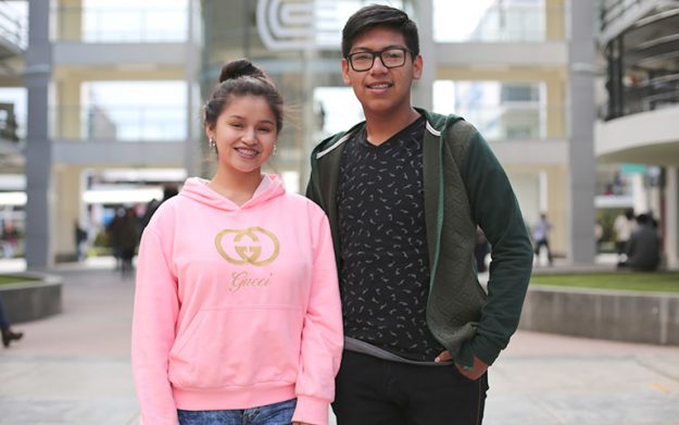 U. Continental colabora con escolares que investigan especie que degrada tecnopor