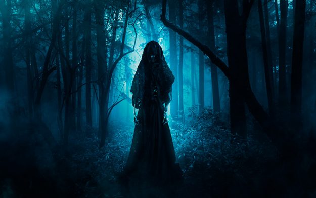 bosque-de-la-desolacion