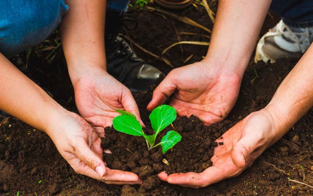COVID-19: El impacto en el medioambiente durante la crisis