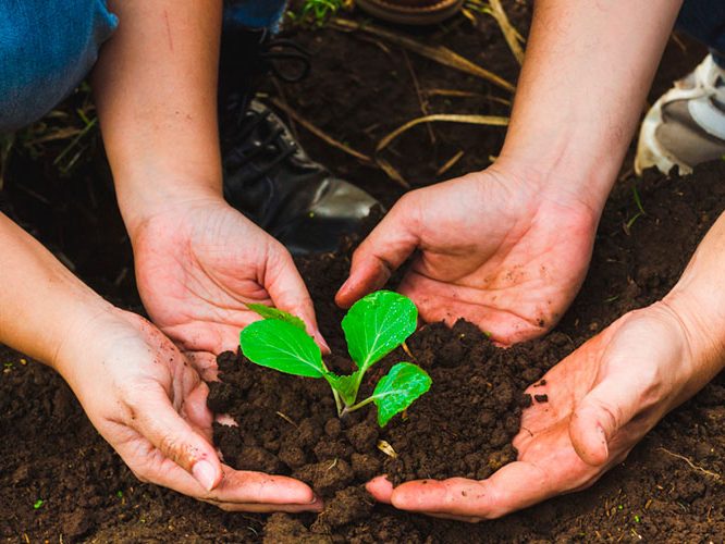 COVID-19: El impacto en el medioambiente durante la crisis