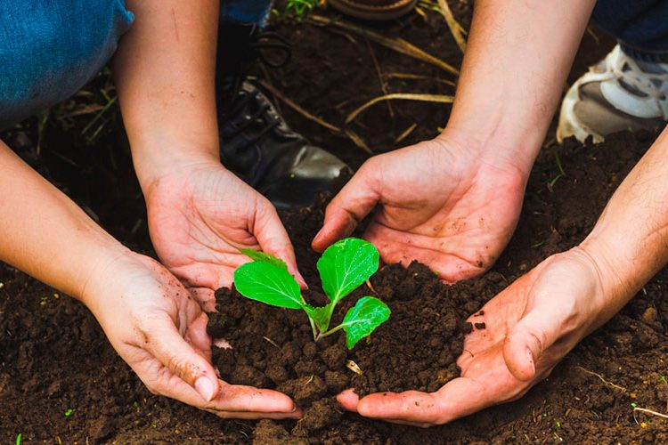COVID-19: El impacto en el medioambiente durante la crisis