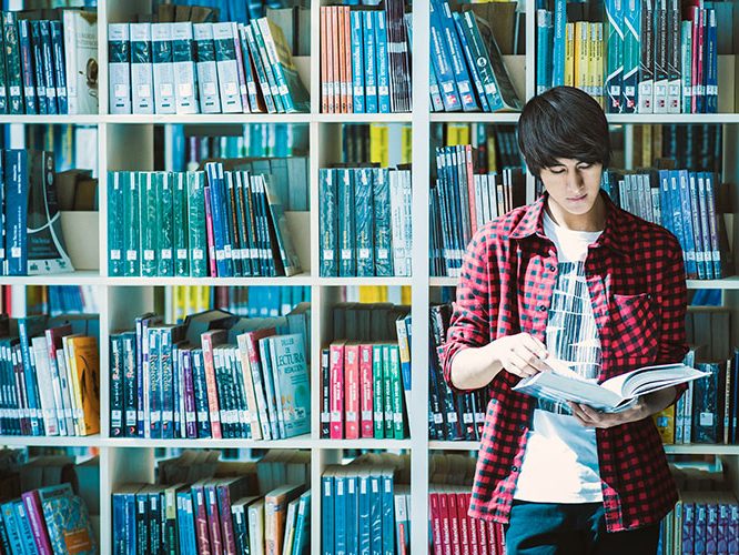 Hub de información: Revisa todo lo que tenemos para ti