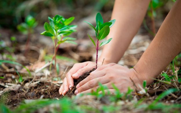 RUA-y-Brigadas-UC-impulsan-iniciativa-para-el-cuidado-del-medioambiente