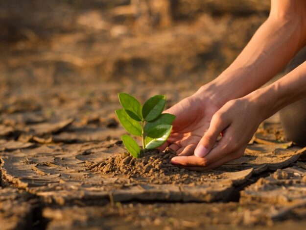 cambio climático onu