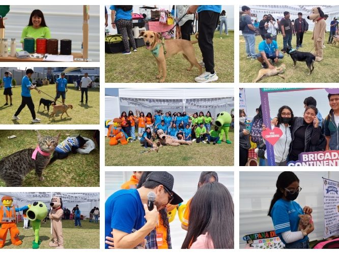 Feria de Brigadas UC – Los Olivos