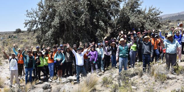 reforestacion nacional