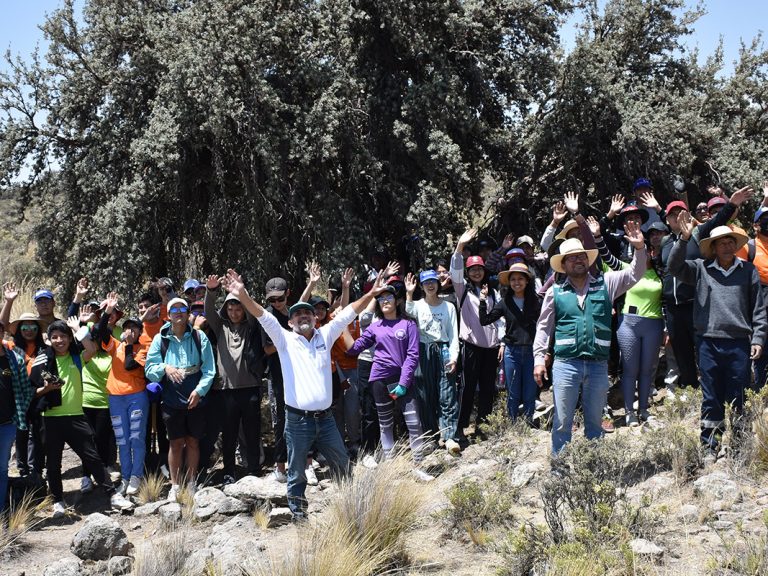 reforestacion nacional