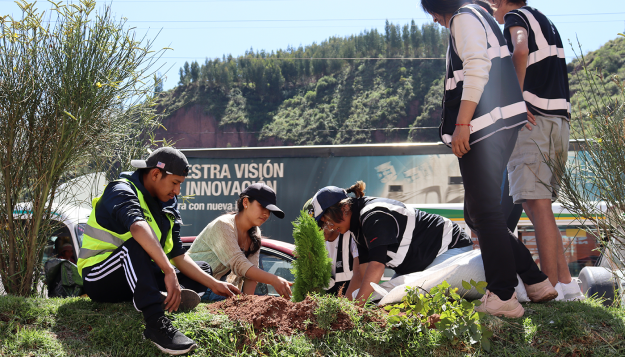 reforestación-Cusco