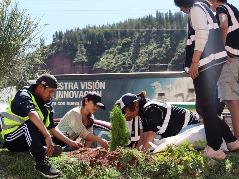 reforestación-Cusco