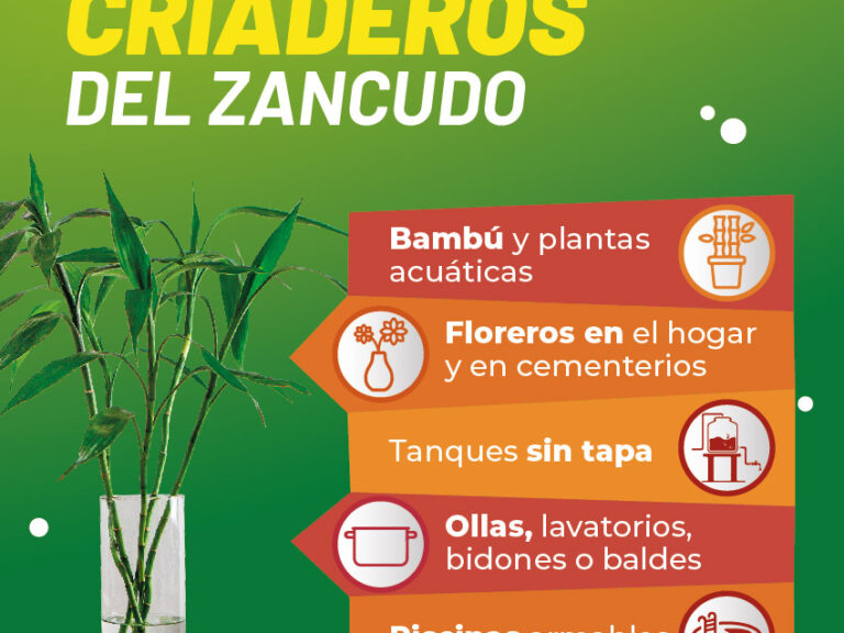 banderolas 3x4_criaderos_dengue_Mesa de trabajo 1 (1)